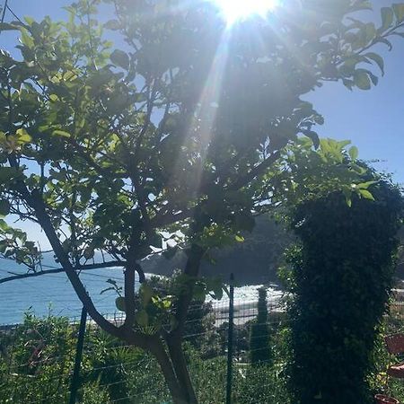Cozy Beach House With Nice Garden, Basic Feel Apartman Bonassola Kültér fotó