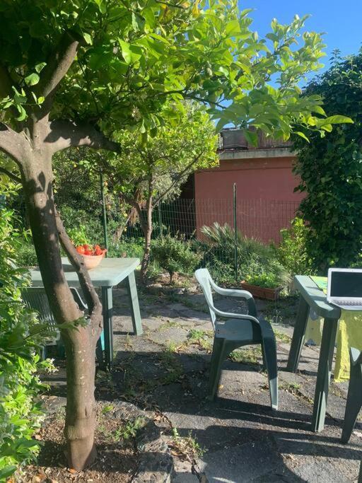Cozy Beach House With Nice Garden, Basic Feel Apartman Bonassola Kültér fotó